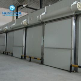 Προσαρμοσμένος τύπος συρόμενων πορτών κρύων δωματίων μεγέθους μορφωματικός με τον αφρό Puf