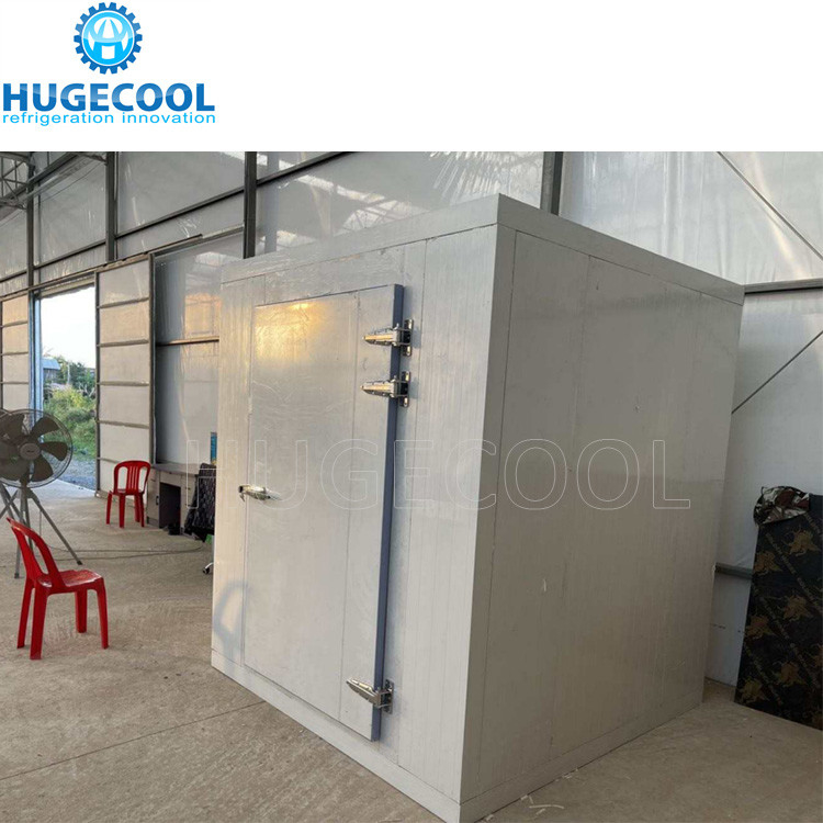 Customized new cold storage for frozen meat and seafood