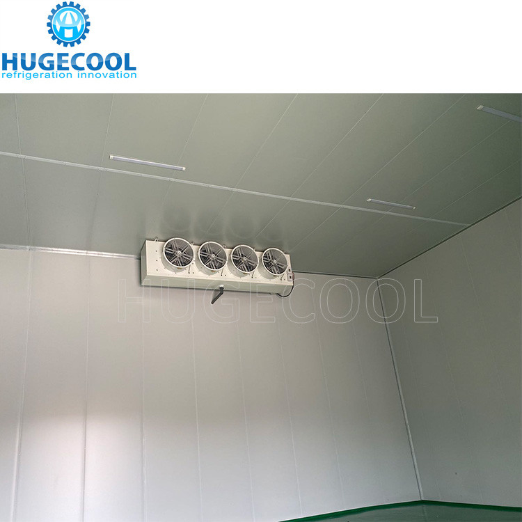 Large Freezer Cold Room For Vegetable Portable Refrigeration Unit