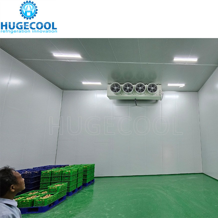 Large Freezer Cold Room For Vegetable Portable Refrigeration Unit