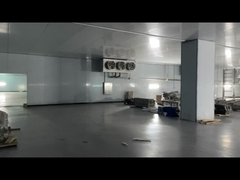 Κατεψυγμένο κρέας βοδινό κρέας κοτόπουλο θαλασσινά