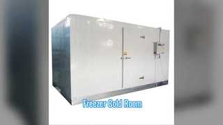 Καταψύκτης Ψυκτικός Θάλαμος Subzero Storage Εκτεταμένη διάρκεια ζωής
